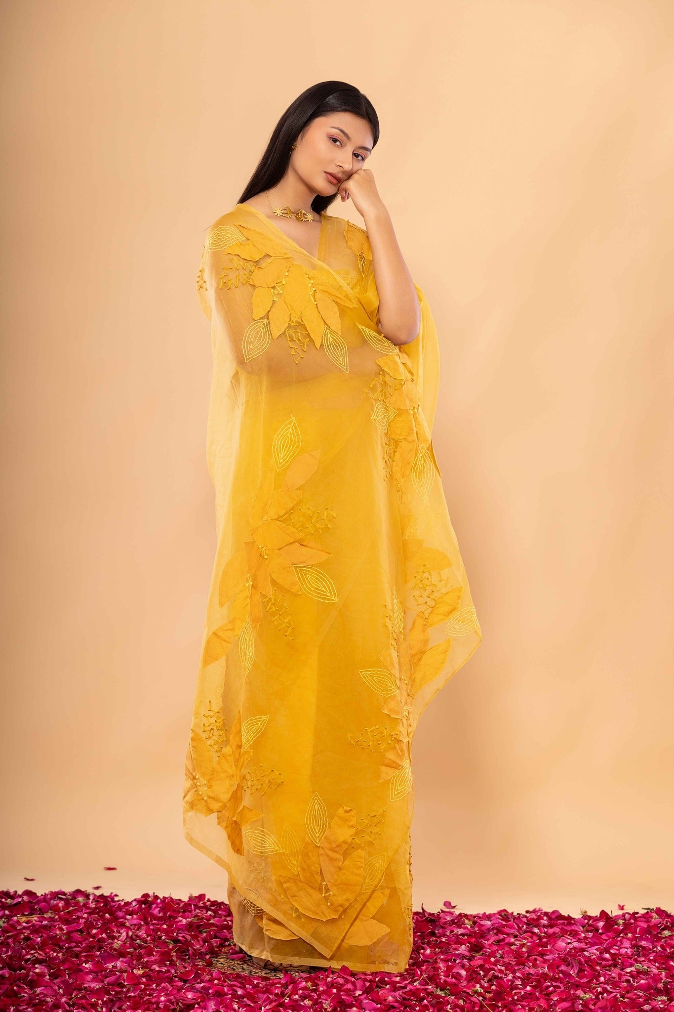 Agnee Saree - CiceroniSareeChambray & Co.