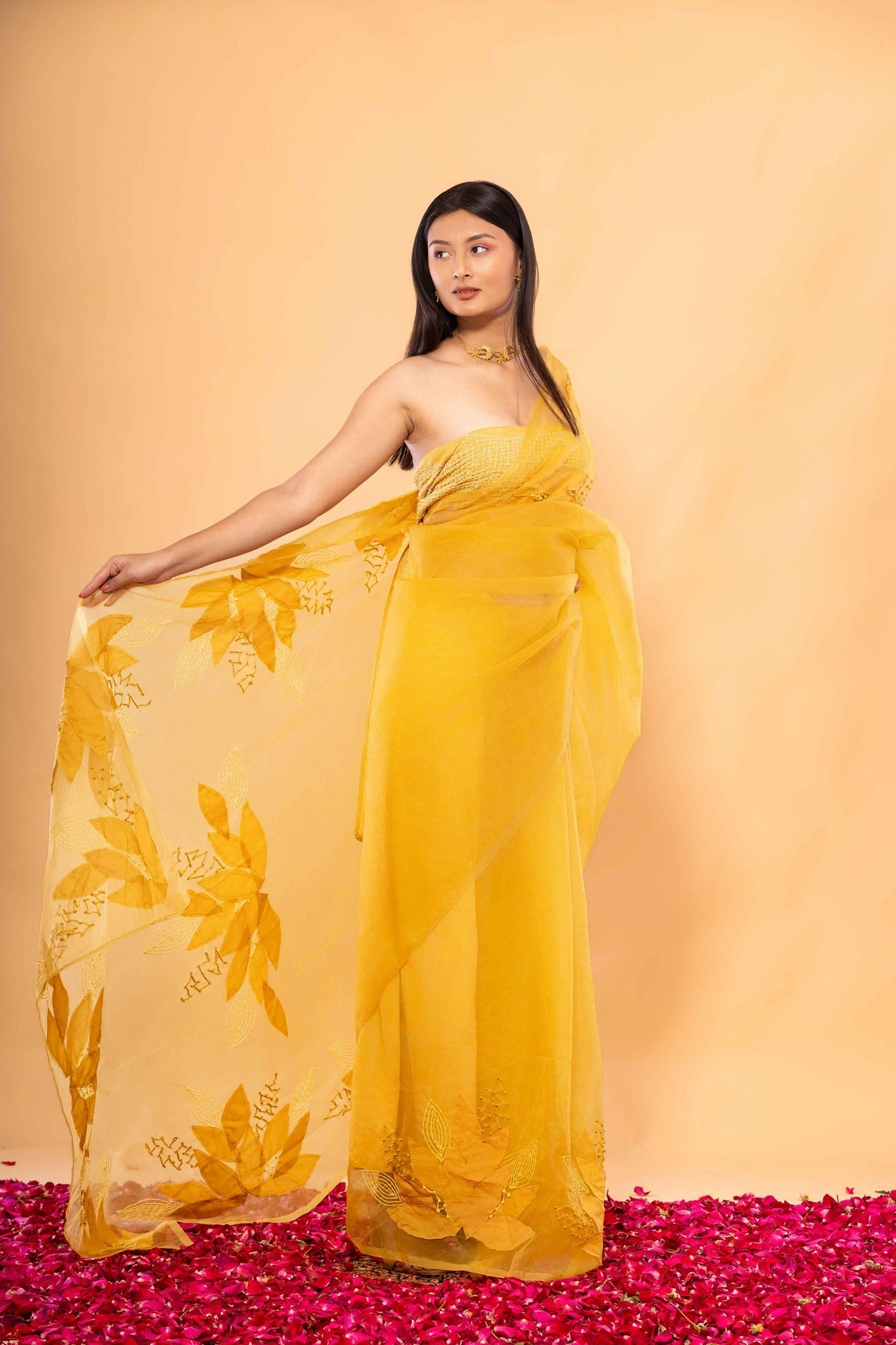 Agnee Saree - CiceroniSareeChambray & Co.