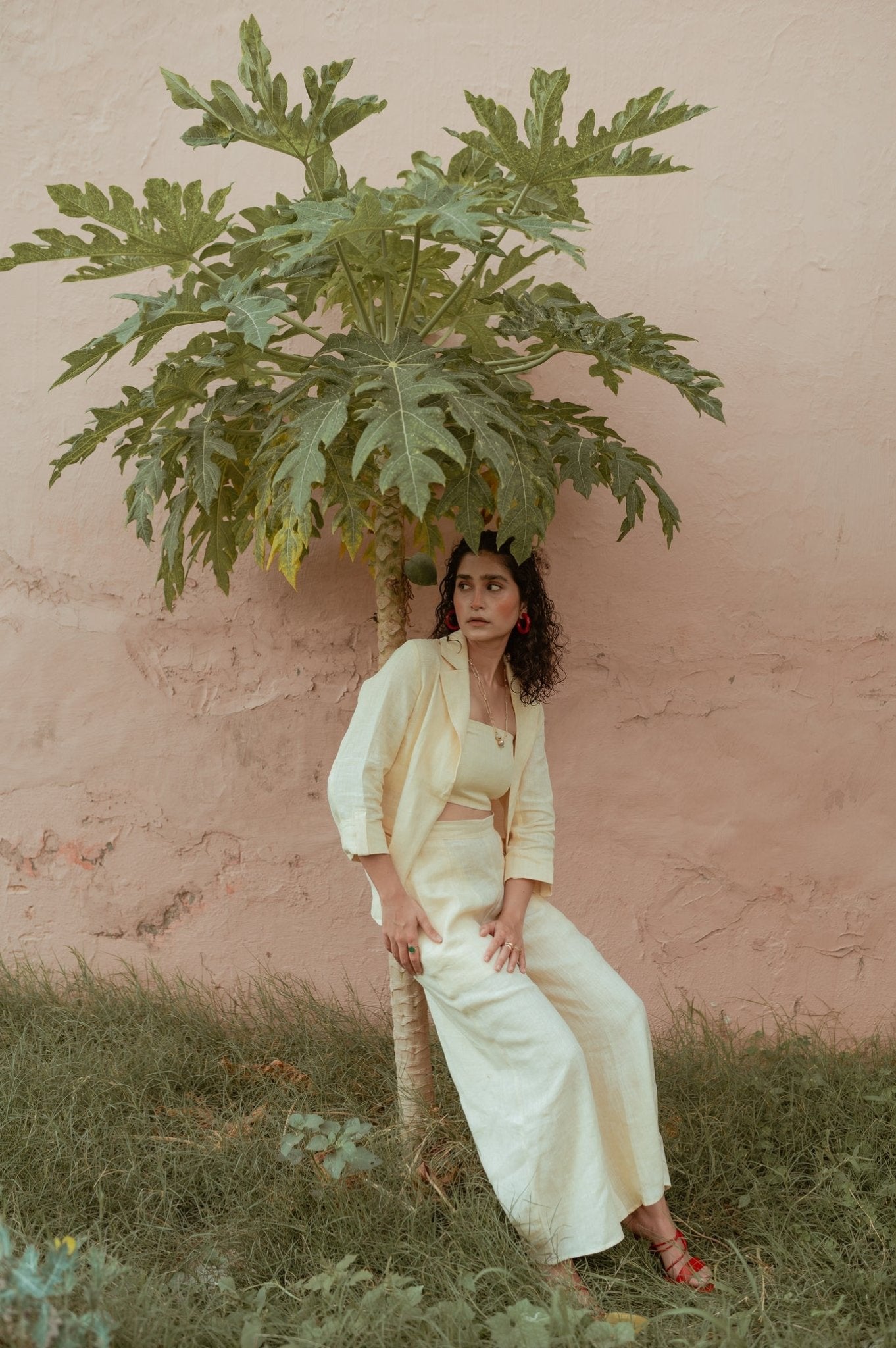 Blazer Solid - Pastel - CiceroniBlazersPaeony