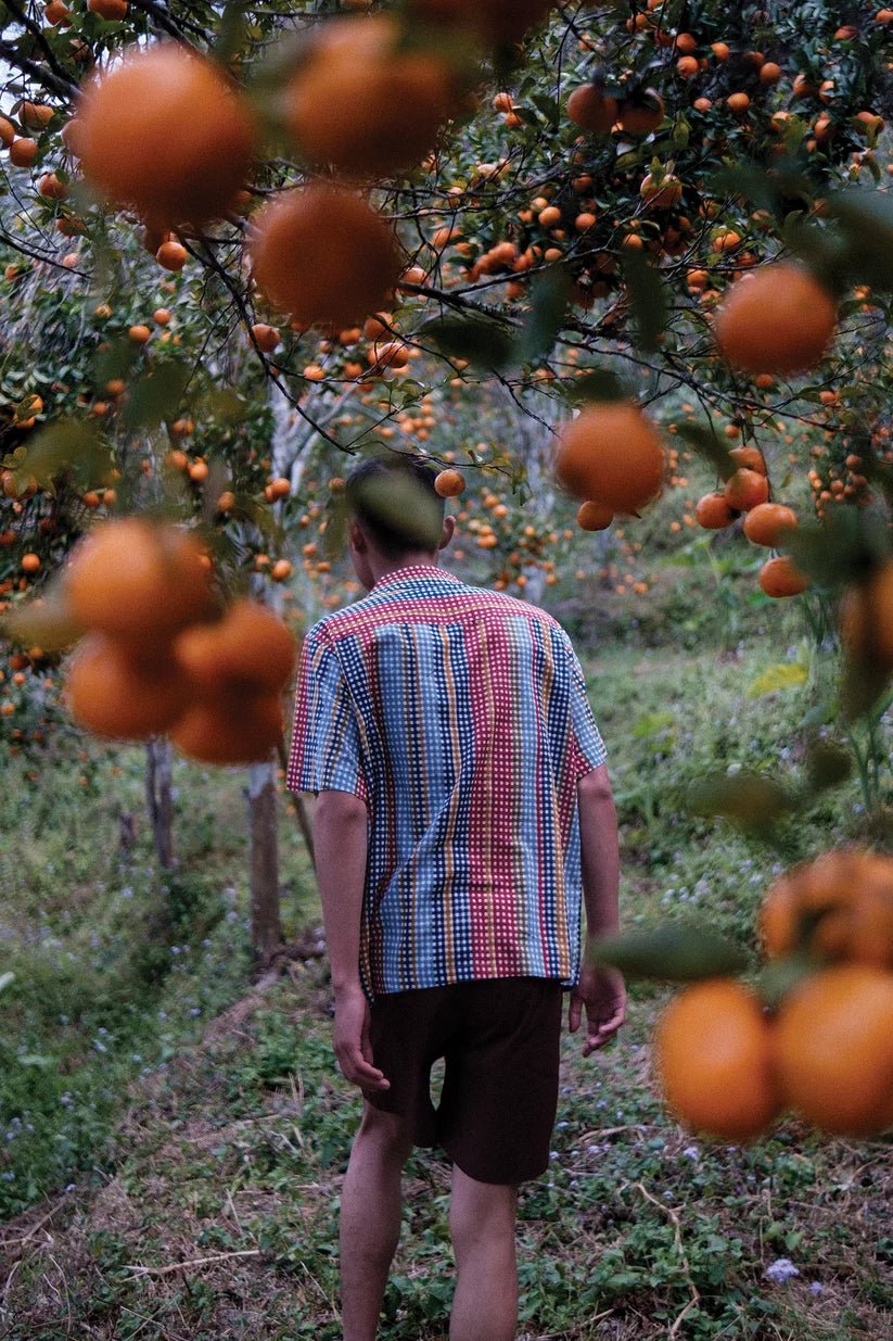 Bombay Electric Shirt - Half-Sleeves - CiceroniMen ShirtsHomeland Elegies