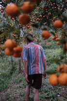 Bombay Electric Shirt - Half-Sleeves - CiceroniMen ShirtsHomeland Elegies