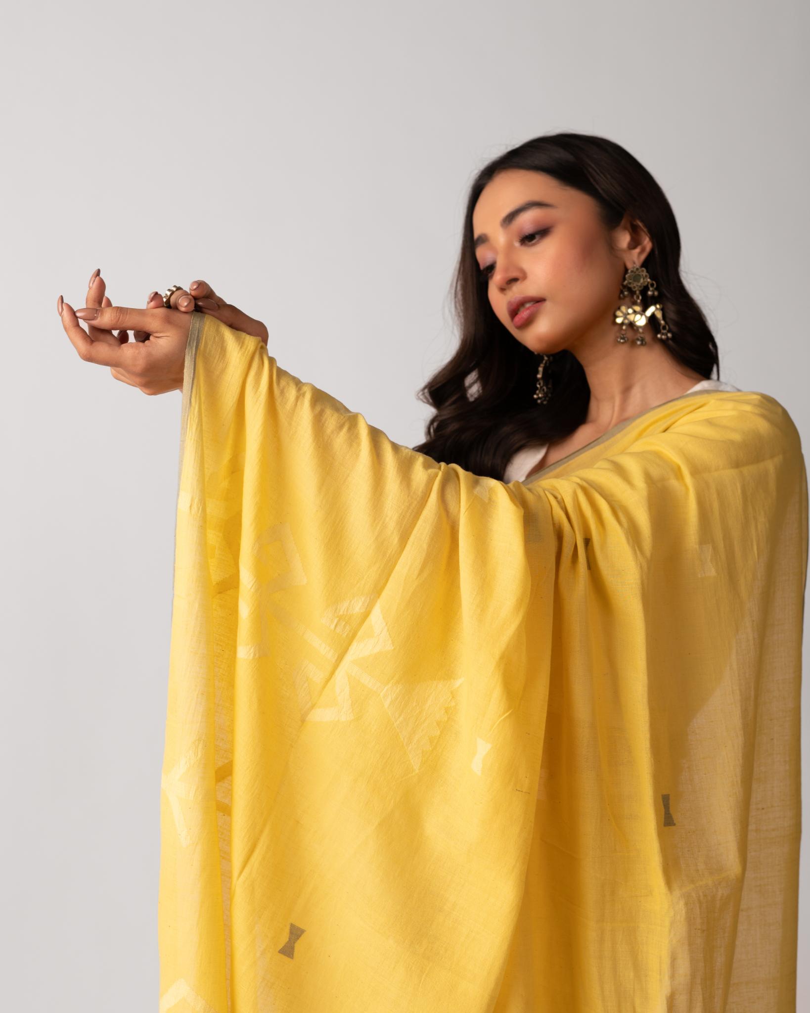 Brindavani - CiceroniSareeIra