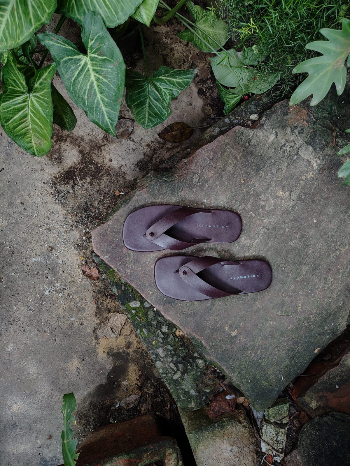 Burgundy Knot Flip Flops - Women - CiceroniFlatsSlomotion