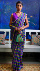 Chitrangan Saree - CiceroniSareeRaga & Co.