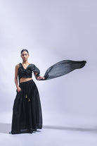 DIY Night Sari Set - CiceroniLehenga SetJayati Goenka