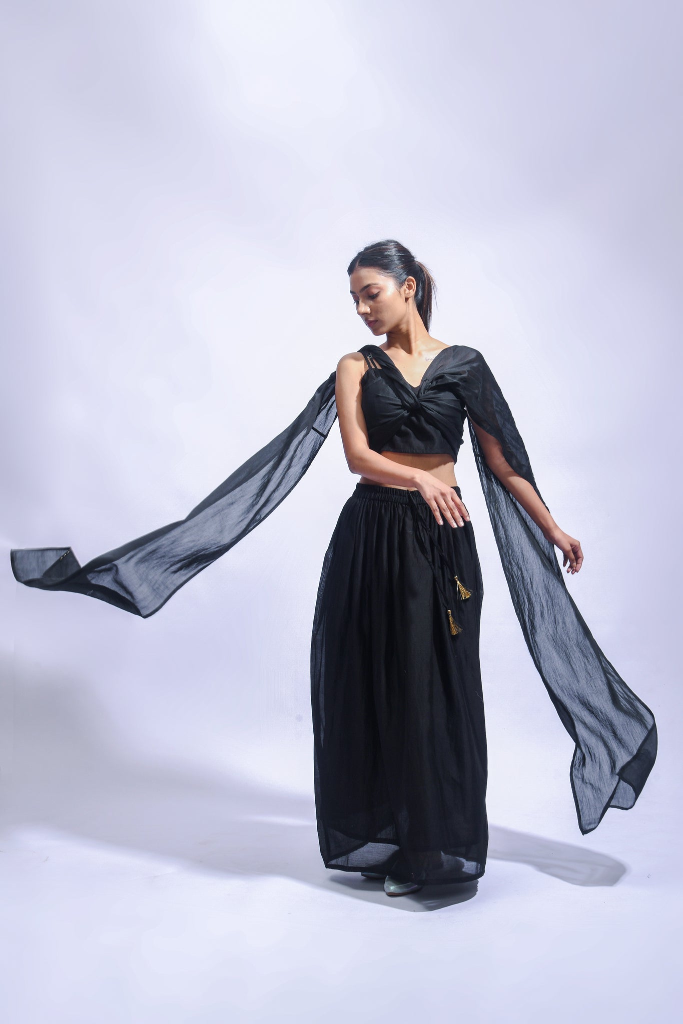 DIY Night Sari Set - CiceroniLehenga SetJayati Goenka