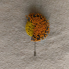 Midnight Bloom Brooch - Orange - CiceroniBroochBandish