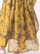 Nikhar Dupatta - CiceroniDupattaShades of India