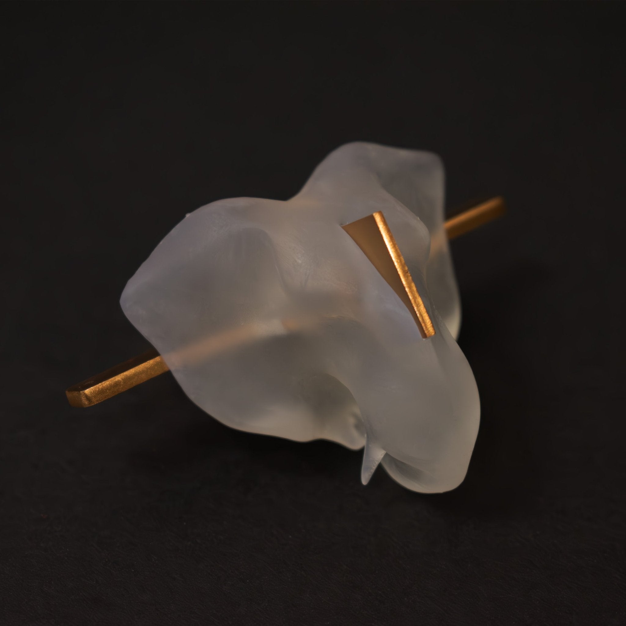 Oracle Ring - CiceroniRingsNO.NA.MÈ