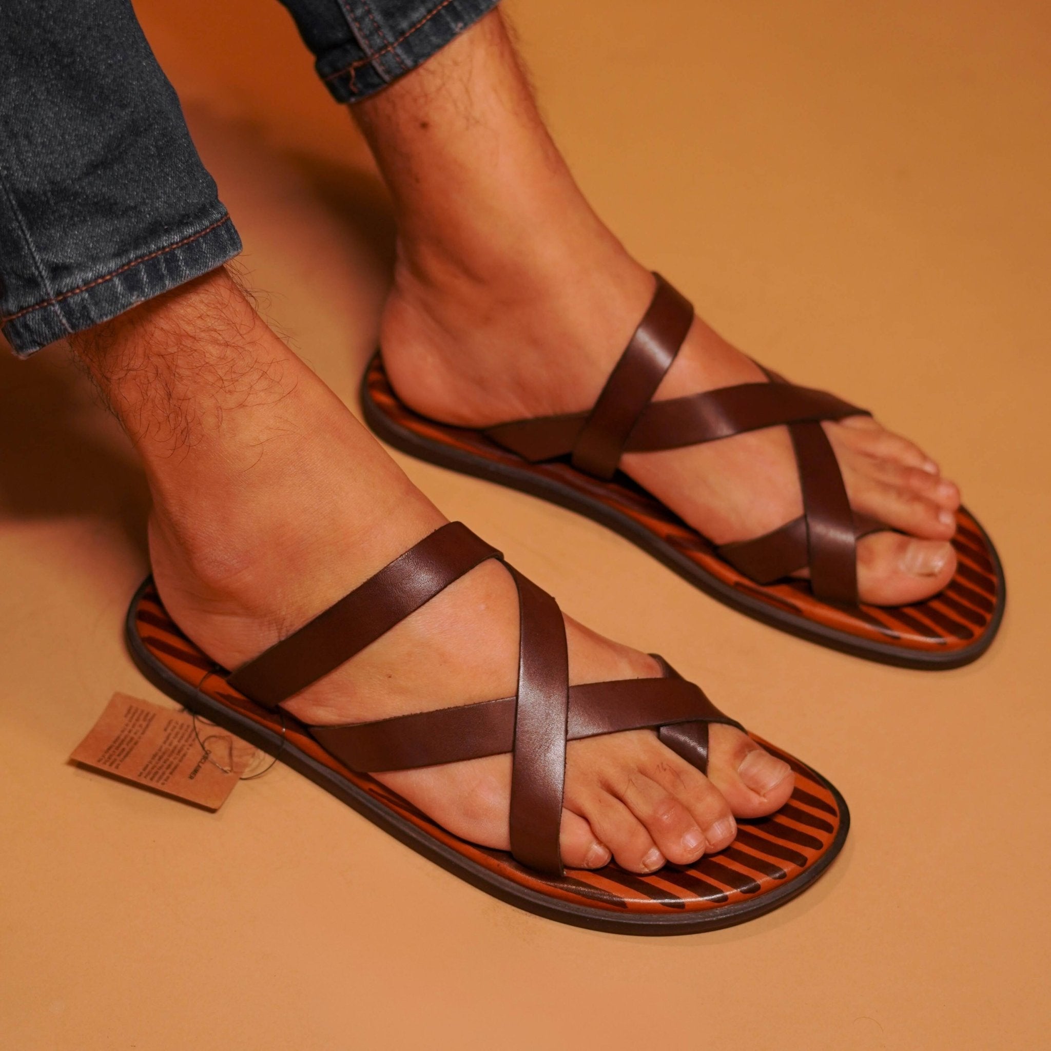 Pelle Marrone - Ciceronidmodot