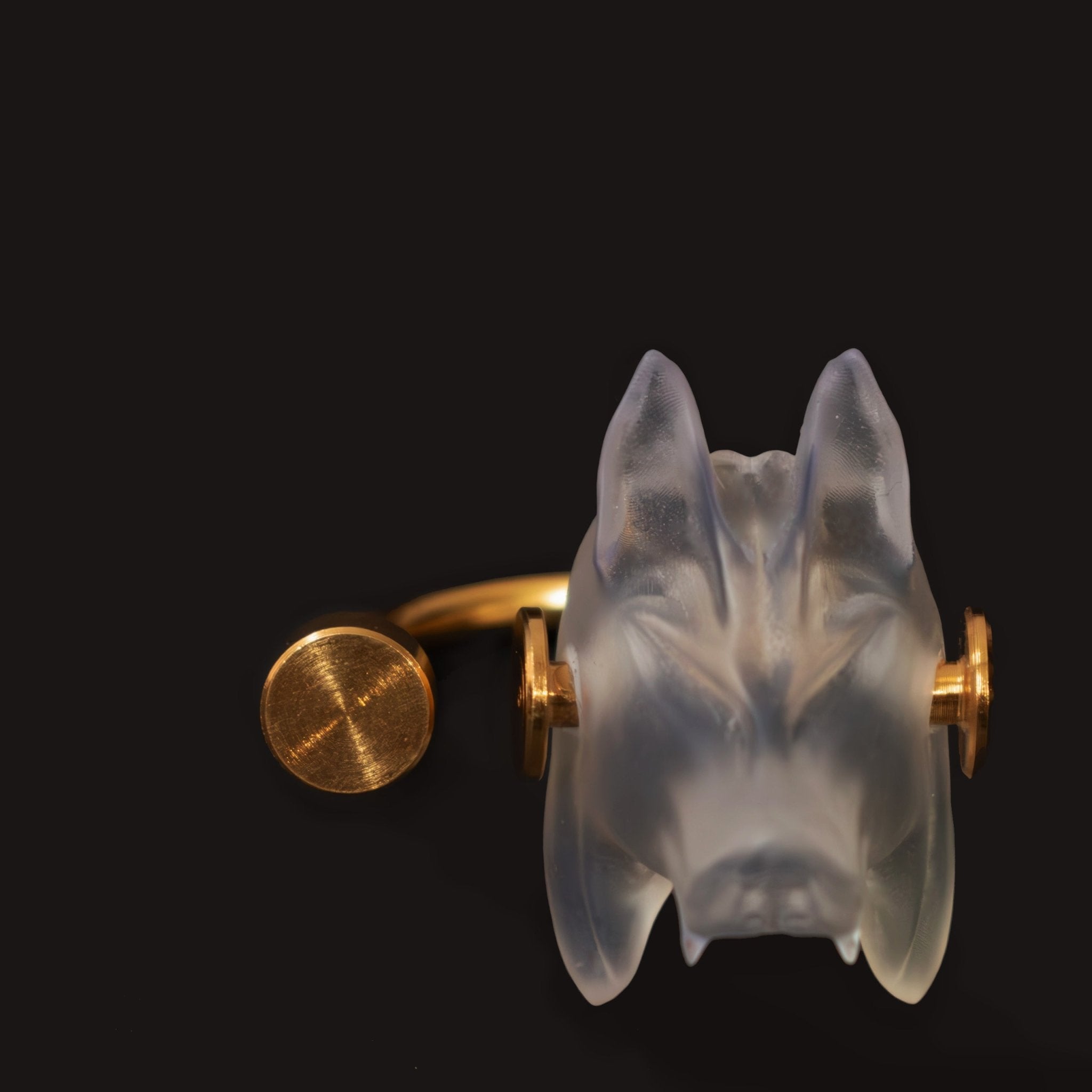 Primalis Ring - CiceroniRingsNO.NA.MÈ