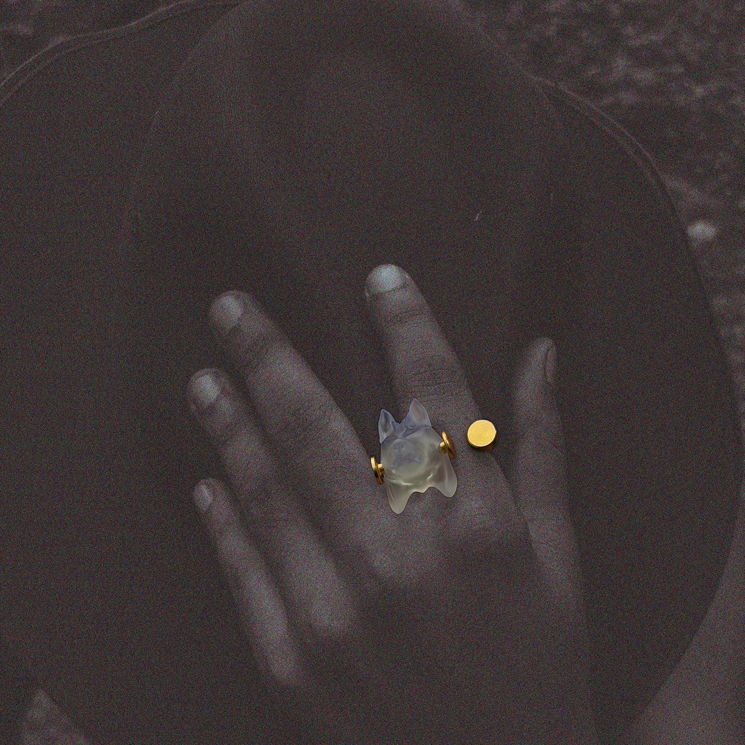 Primalis Ring - CiceroniRingsNO.NA.MÈ