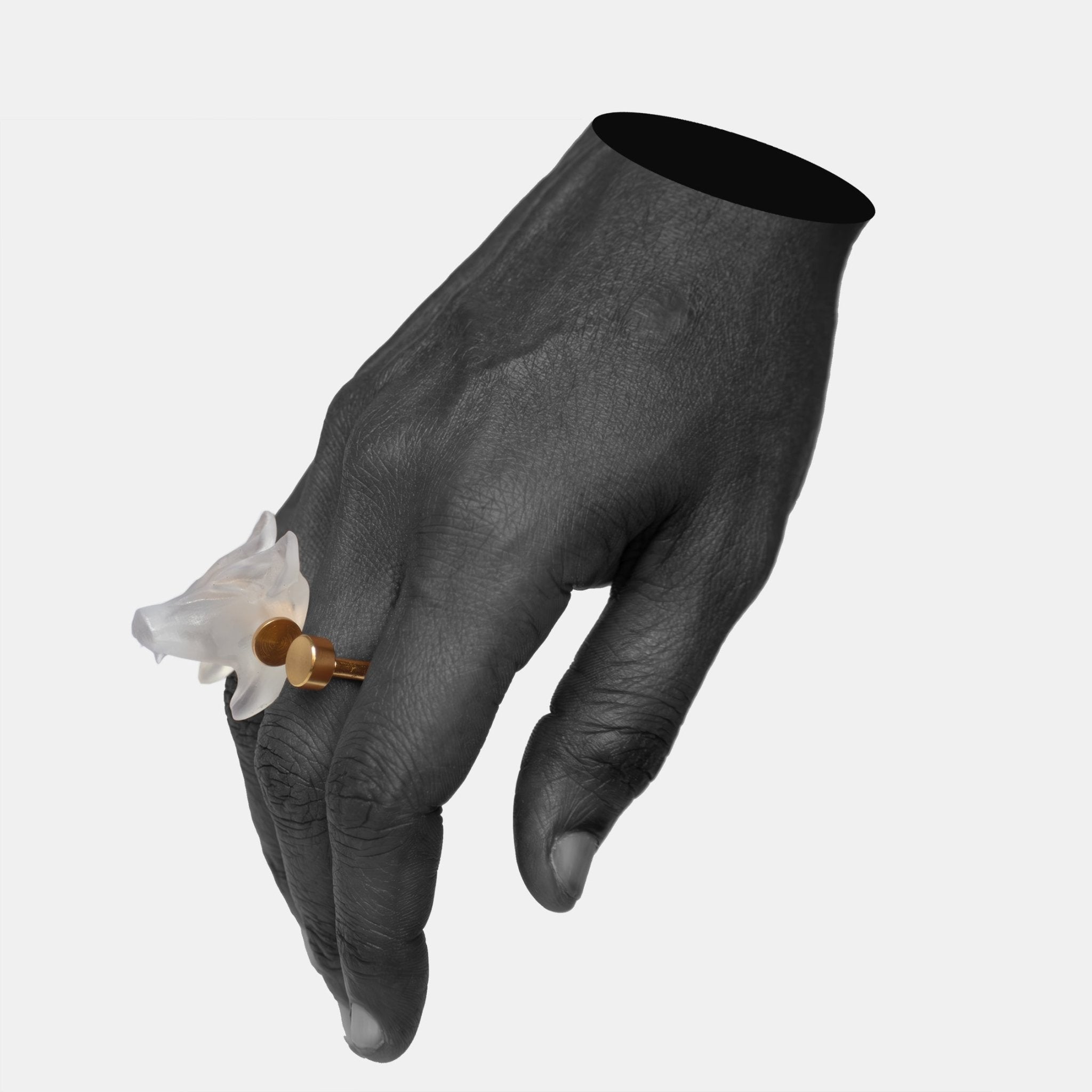 Primalis Ring - CiceroniRingsNO.NA.MÈ