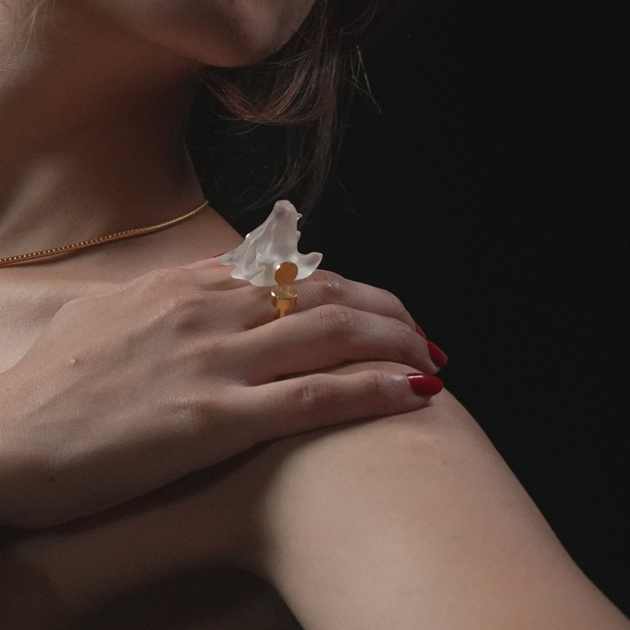 Primalis Ring - CiceroniRingsNO.NA.MÈ