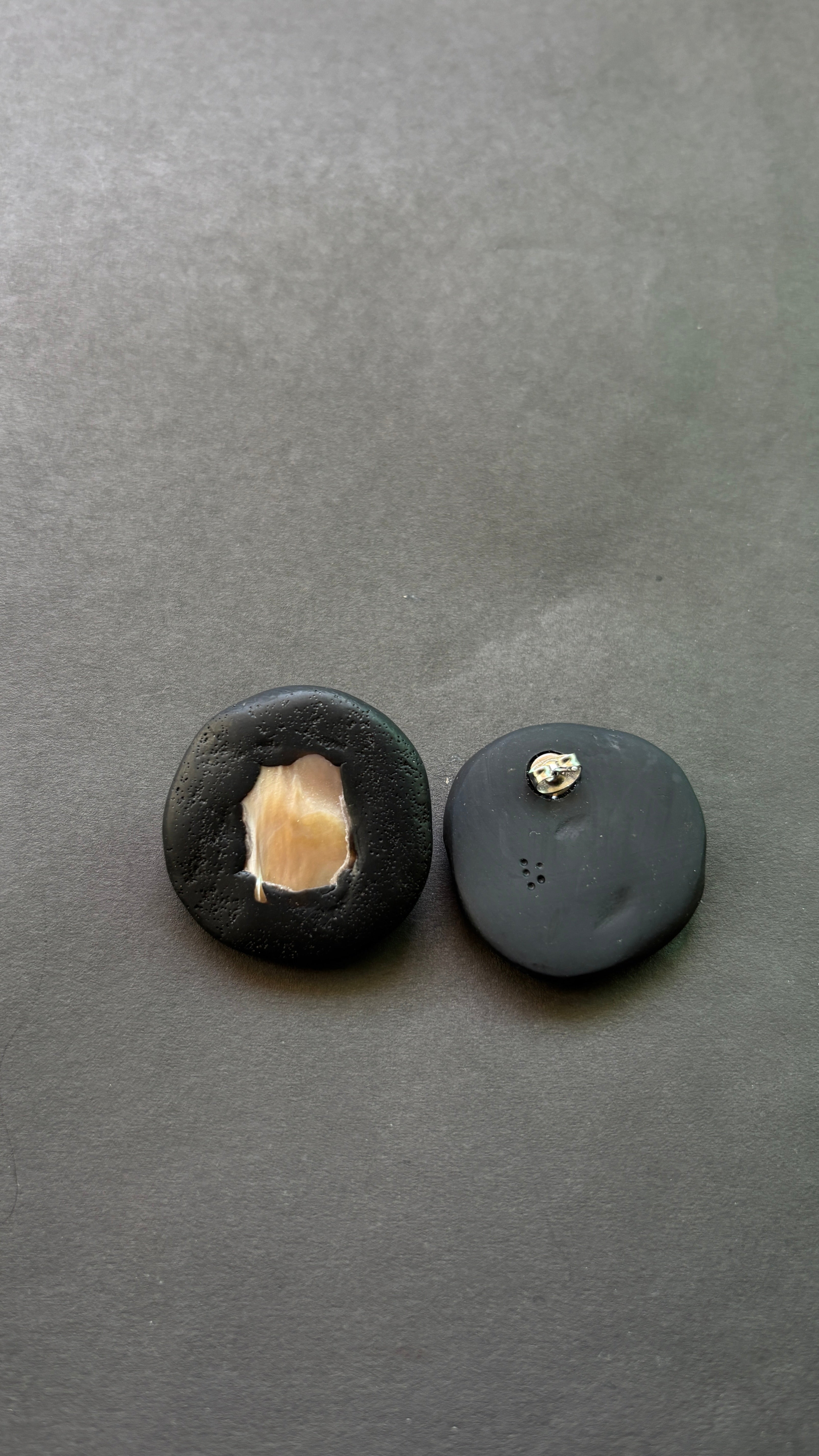 Shell Studs - CiceroniEarringsColoured Ears