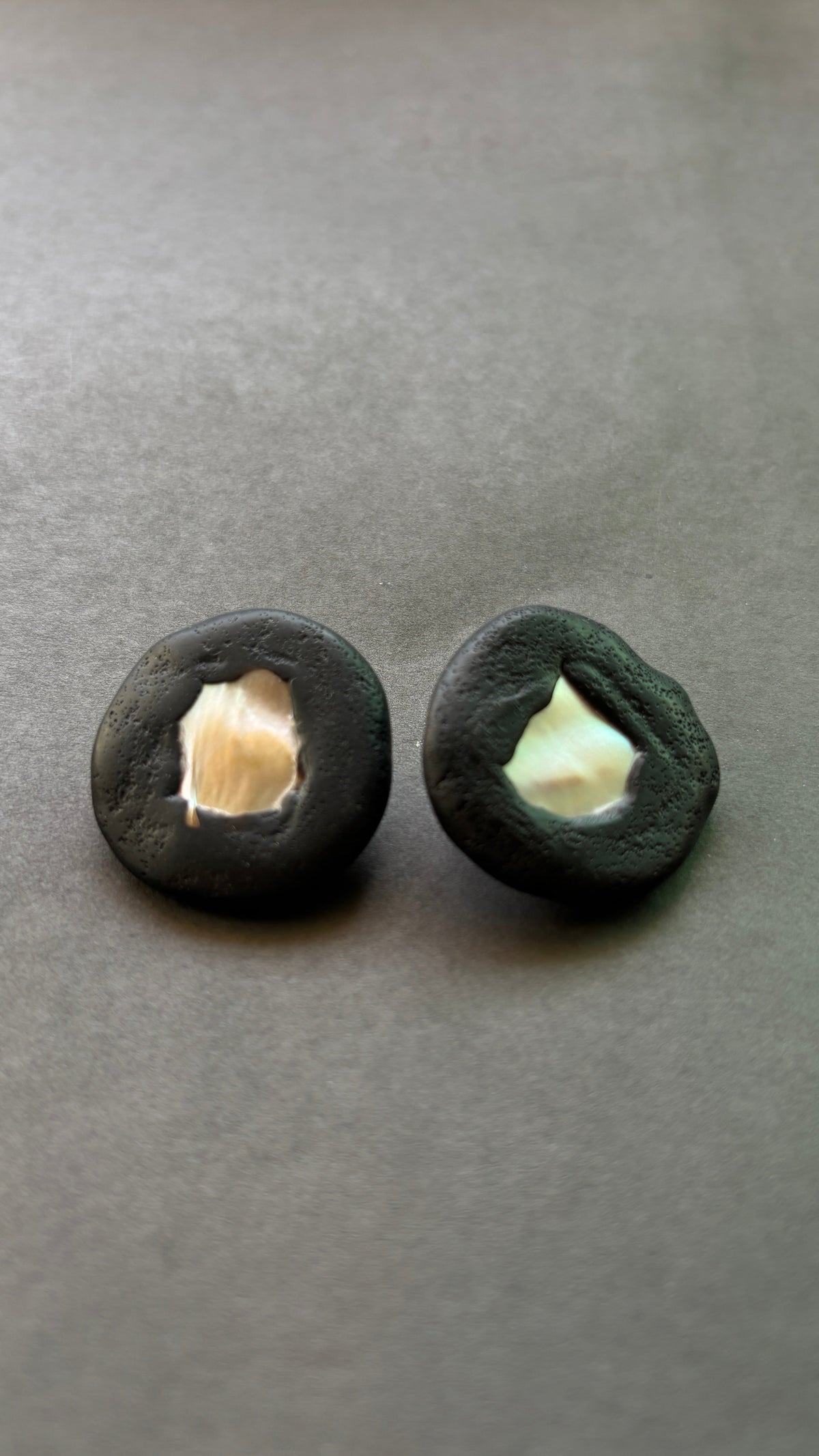 Shell Studs - CiceroniEarringsColoured Ears
