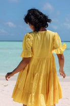 Sur - CiceroniDressesRAAS Life