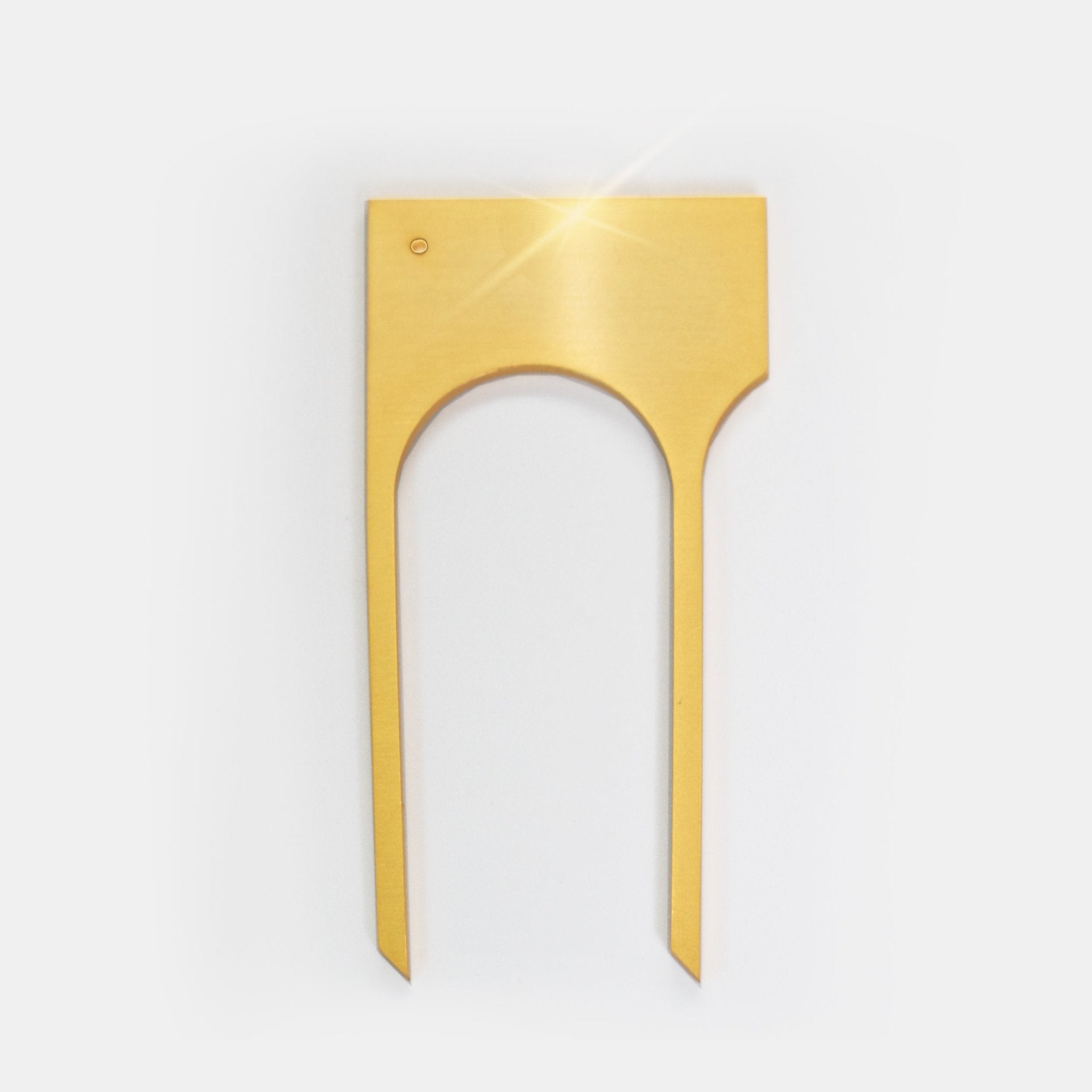 All Hail The Mane - CiceroniHair PinNO.NA.MÈ