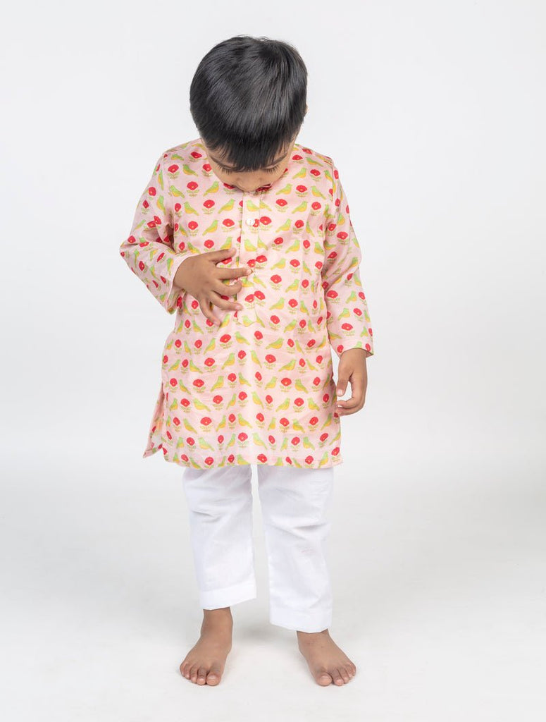 Bird Jaal Printed Kurta Set - CiceroniKurta Set, Festive wearMr. Brat