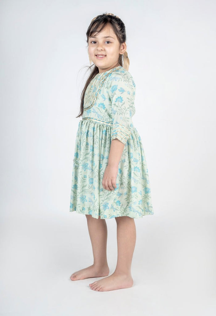 Dragon Fly Printed Muslin Lace Dress - CiceroniDressesMr. Brat