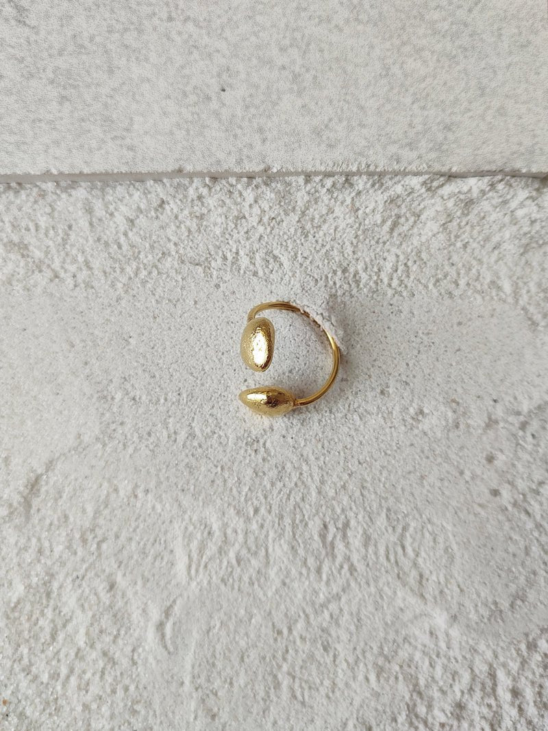 Kin - CiceroniRingsDE'ANMA