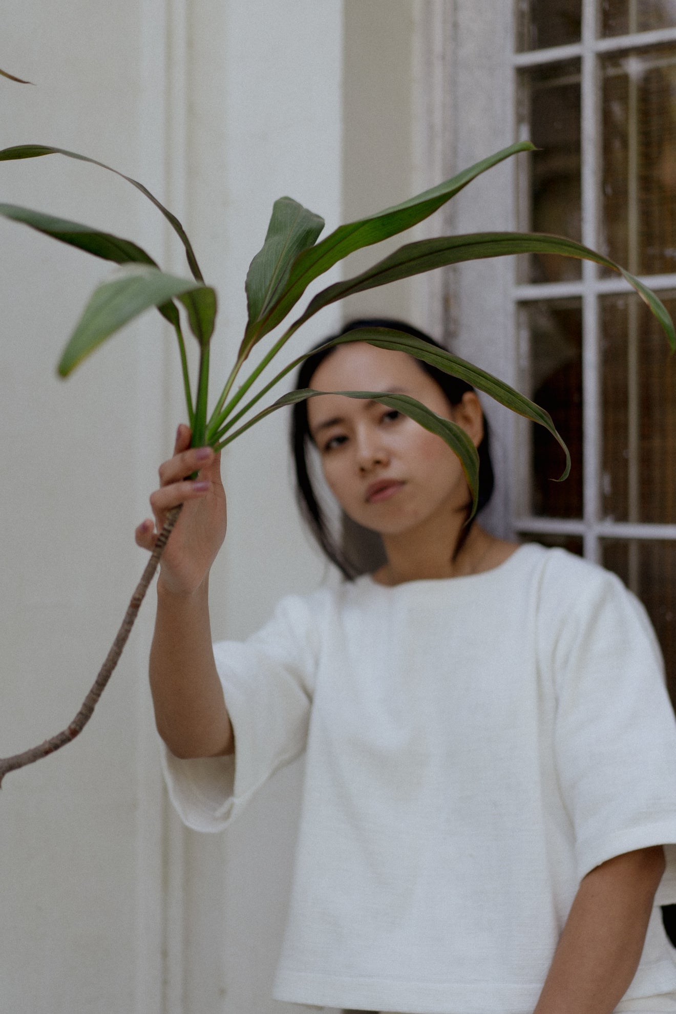 Malai Top - Ciceroniwith N.