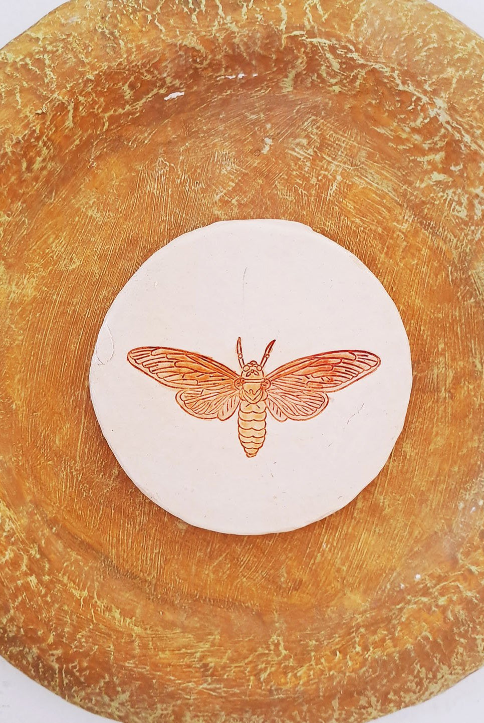 Moth Wall Plate - Ochre Yellow - CiceroniWall ArtAranya Earthcraft
