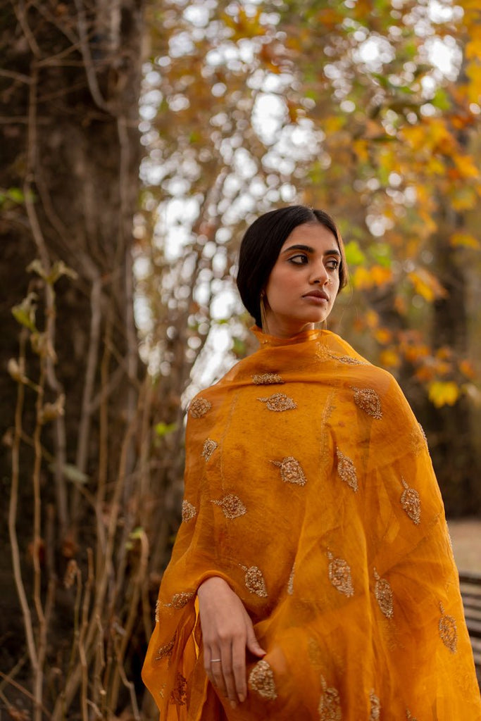 Mustard Nikhat Odhani - CiceroniOdhaniNirjara