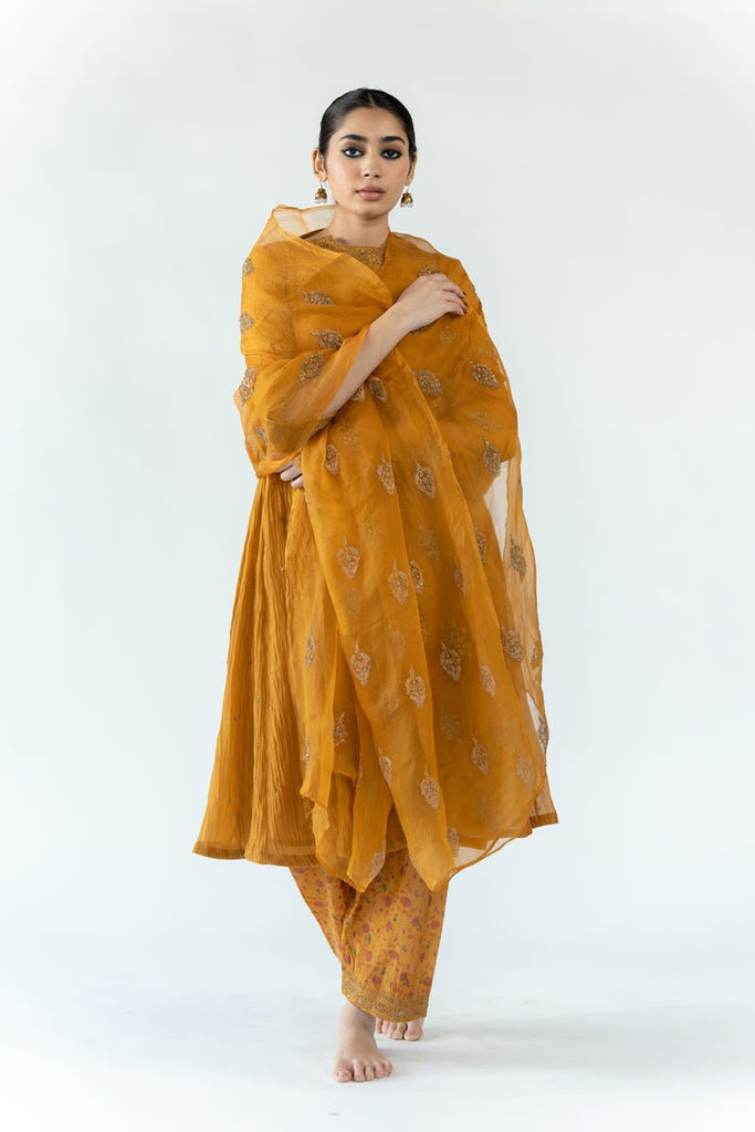 Mustard Nikhat Odhani - CiceroniOdhaniNirjara
