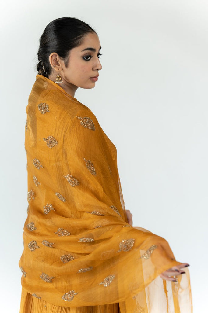 Mustard Nikhat Odhani - CiceroniOdhaniNirjara