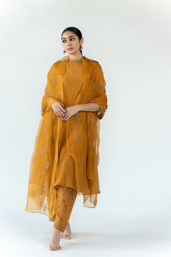 Mustard Nikhat Odhani - CiceroniOdhaniNirjara