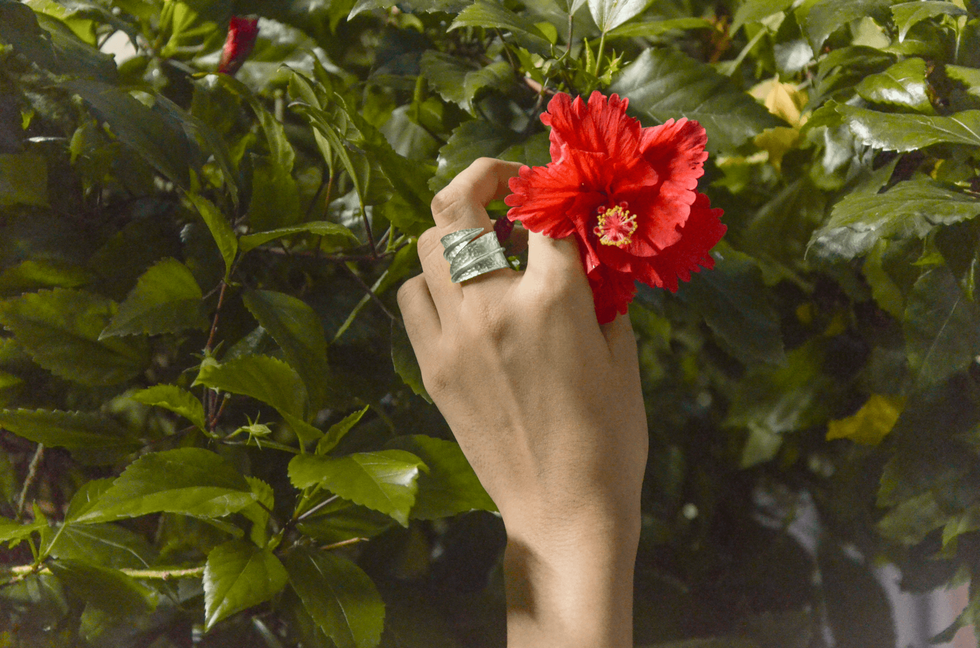 Noori Ring In Silver Tone (Set of 2) - CiceroniEquiivalence