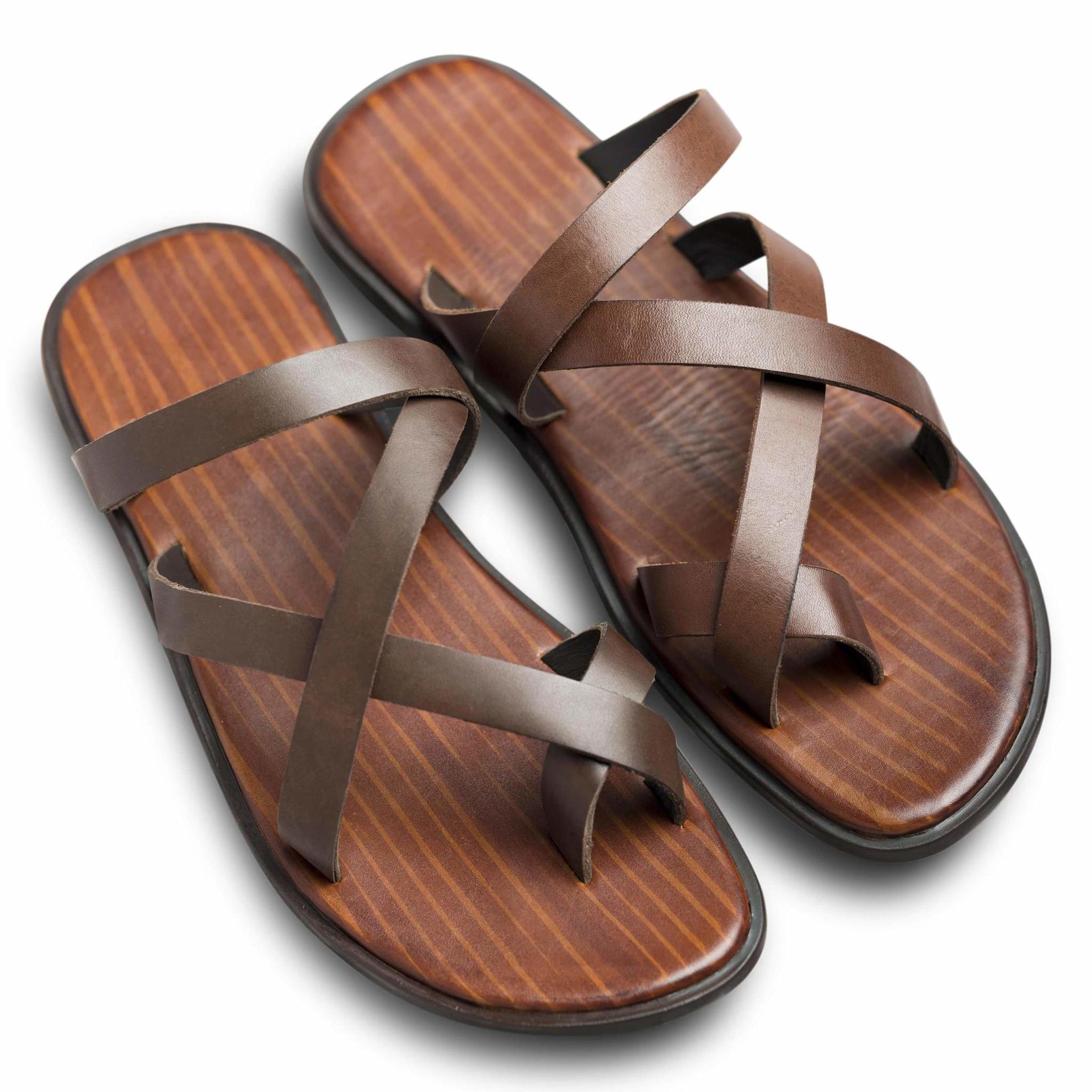 Pelle Marrone - Ciceronidmodot