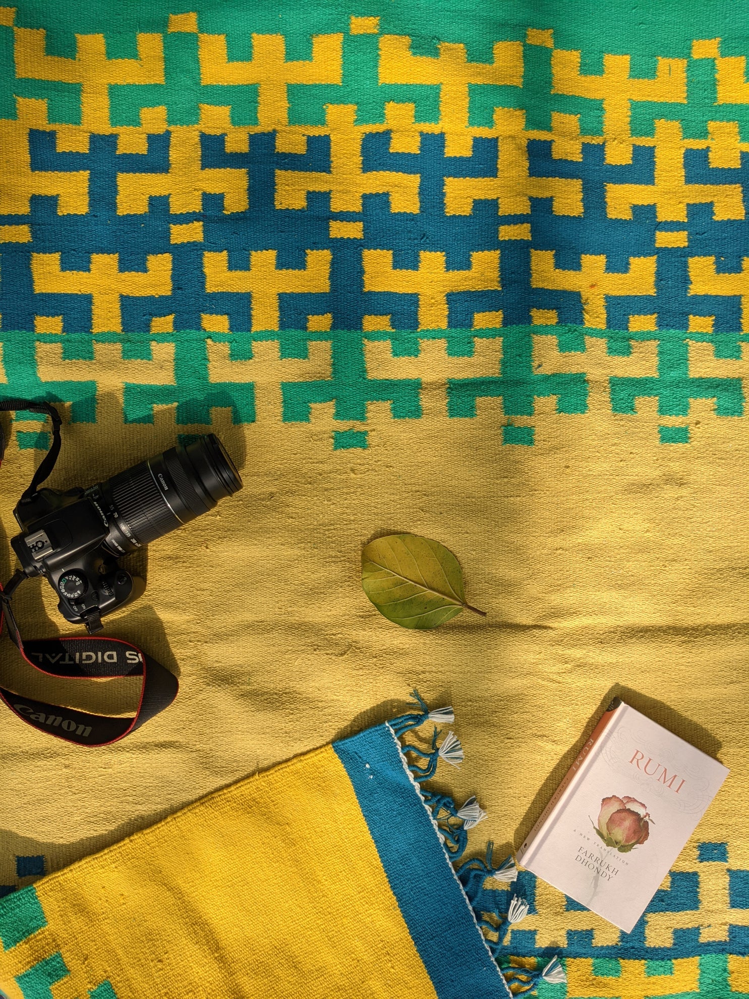 Splashes Dhurrie - CiceroniThe Mango Tree